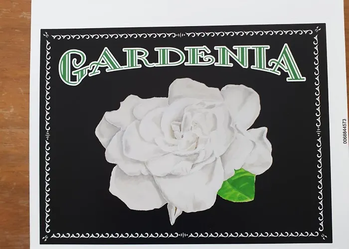 Bed and breakfast Gardenia Villenauxe